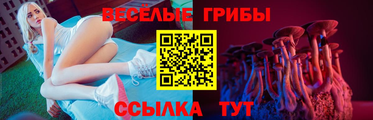 Каменск-Уральский  Галлюциногенные грибы MAGIC MUSHROOMS  Вход с VPN 